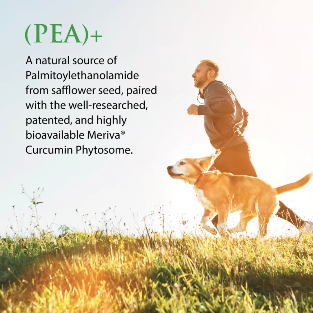 Enzyme Science PEA+ | Palmitoylethanolamide