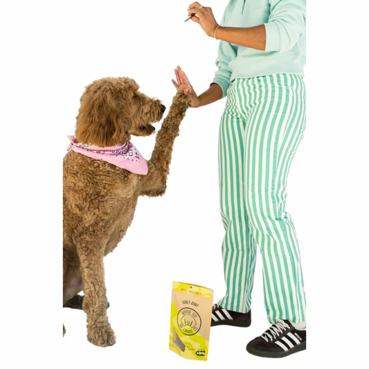 Winnie Lou Turkey Jerky