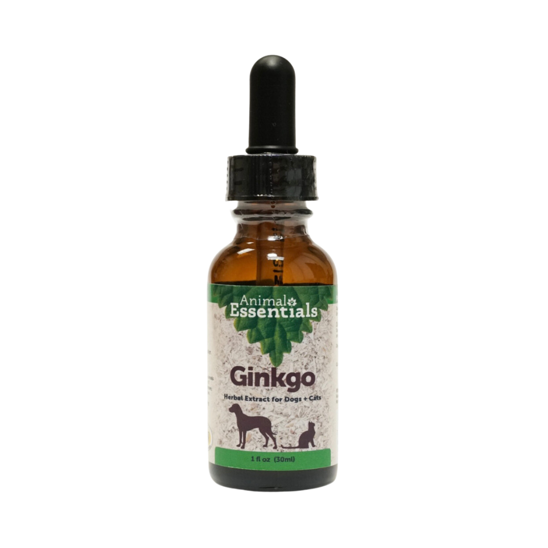 Animal Essentials Ginkgo | Cognitive Support + Healthy Brain Function