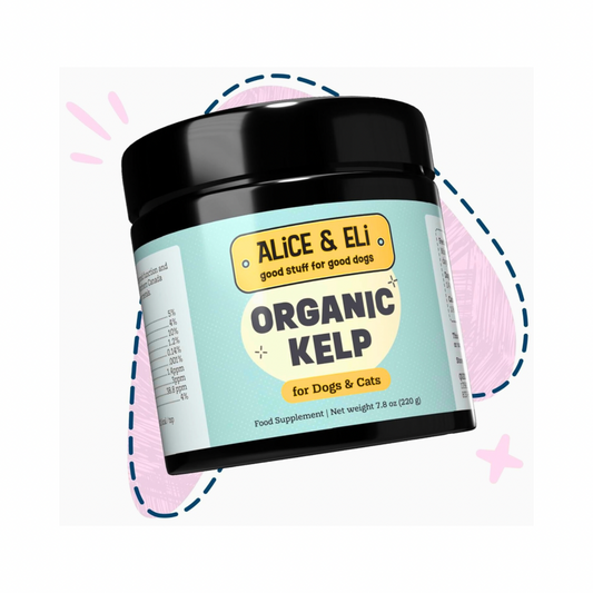 Organic Kelp | Natural Iodine, Thyroid & Coat Support