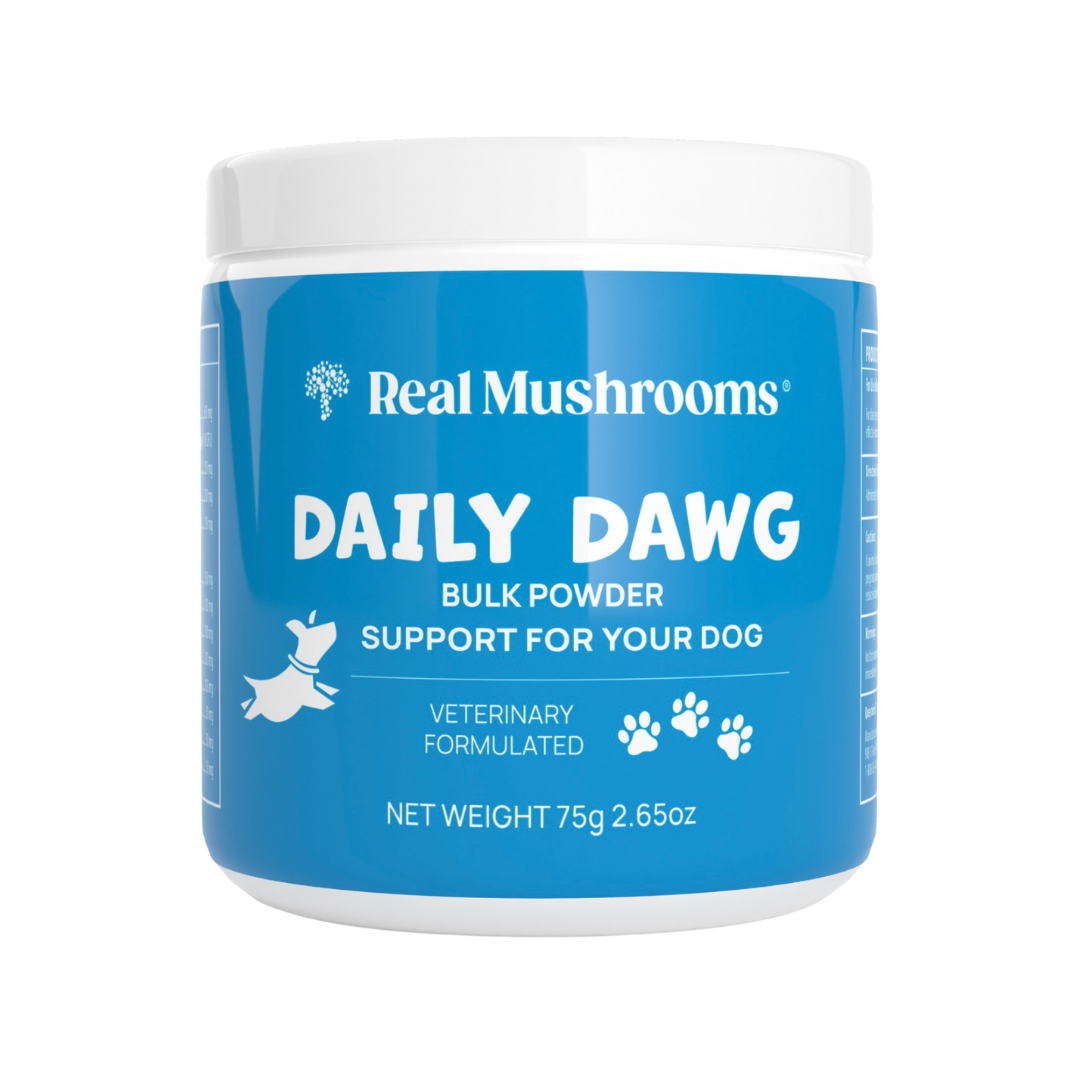 Real Mushrooms Daily Dawg | Daily Immune + Health Support