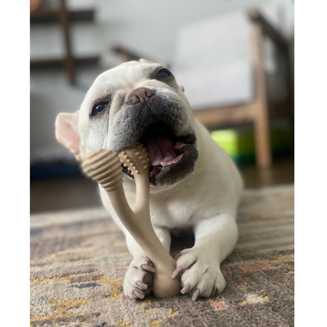 BetterBone Natural Dog Chew | Soft