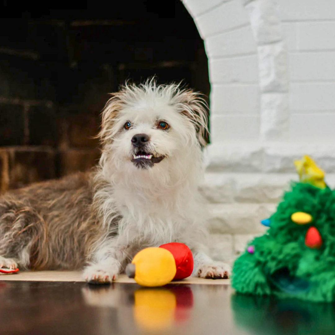 PLAY Merry Woofmas Doglas Fur