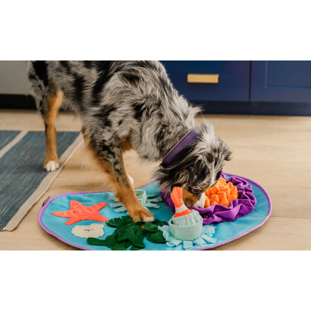 PLAY Coral Cove Snuffle Mat