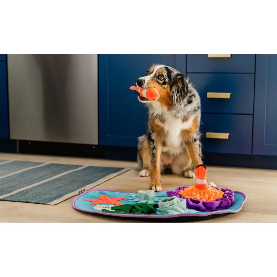 PLAY Coral Cove Snuffle Mat