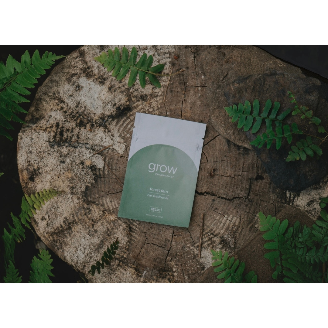 Grow Natural Car Fresheners | Forest Fern