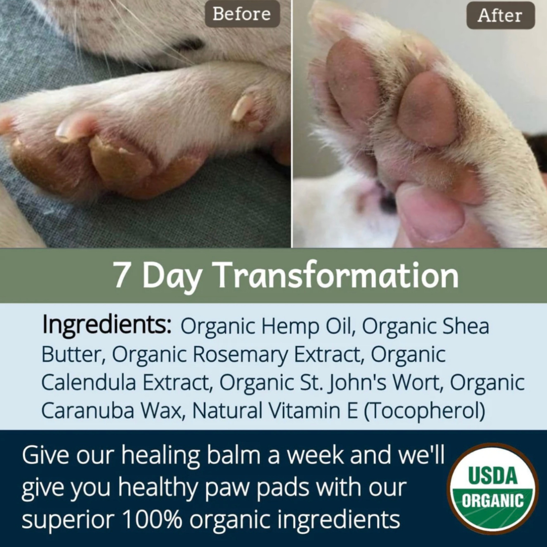 4-Legger Organic Healing Balm | Nose & Paw Pads