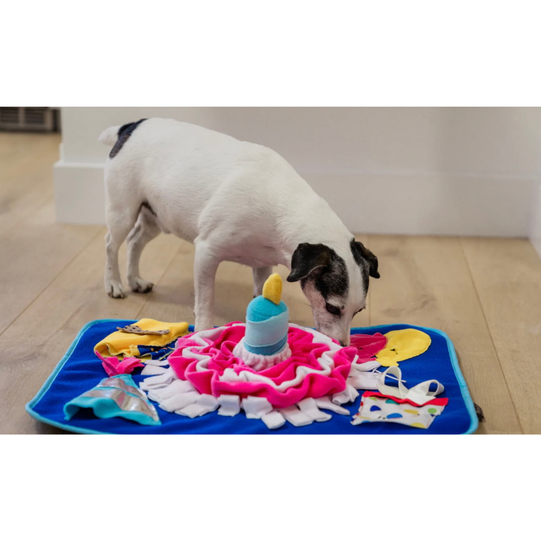 PLAY Woof-day Celebration Snuffle Mat