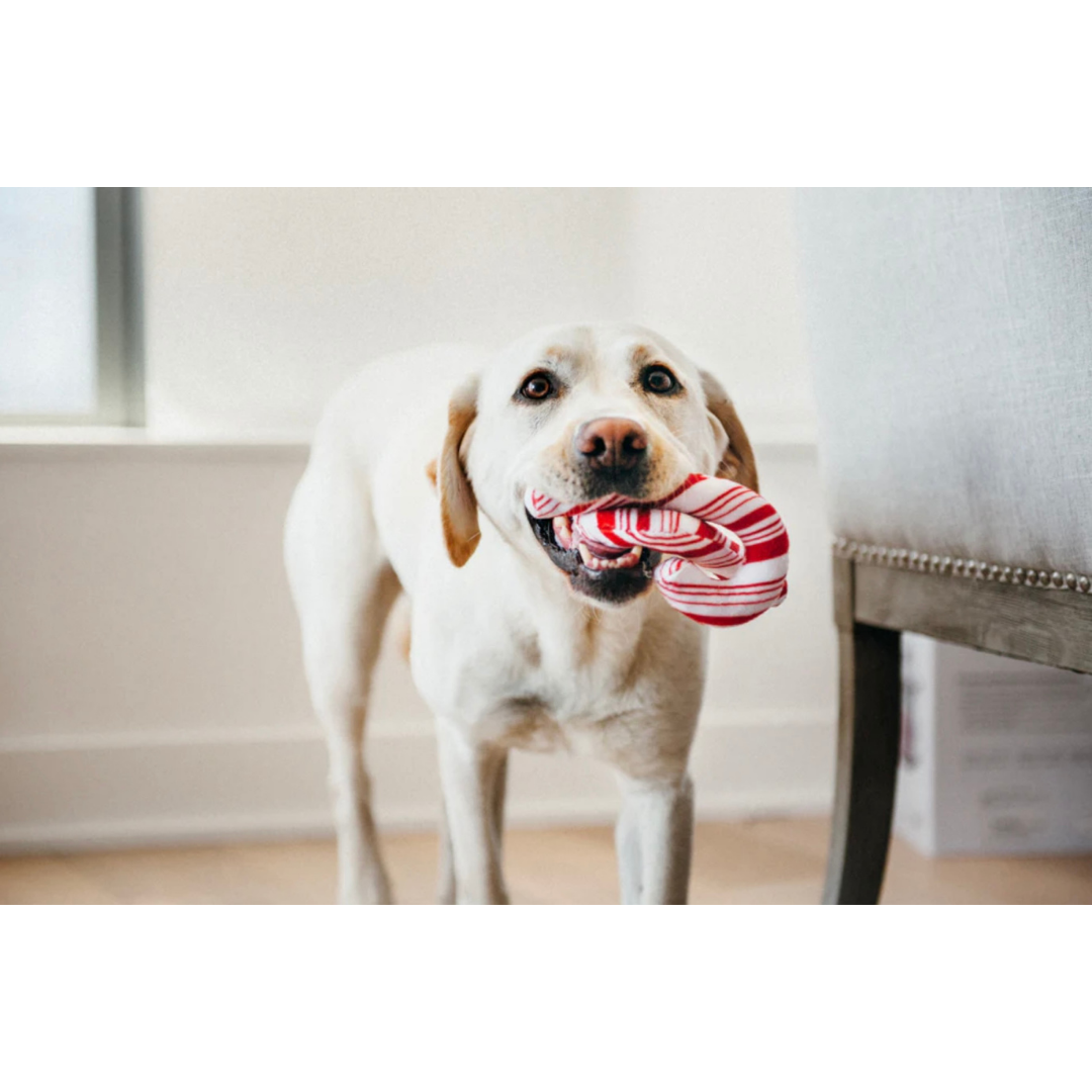 PLAY Cheerful Candy Canes