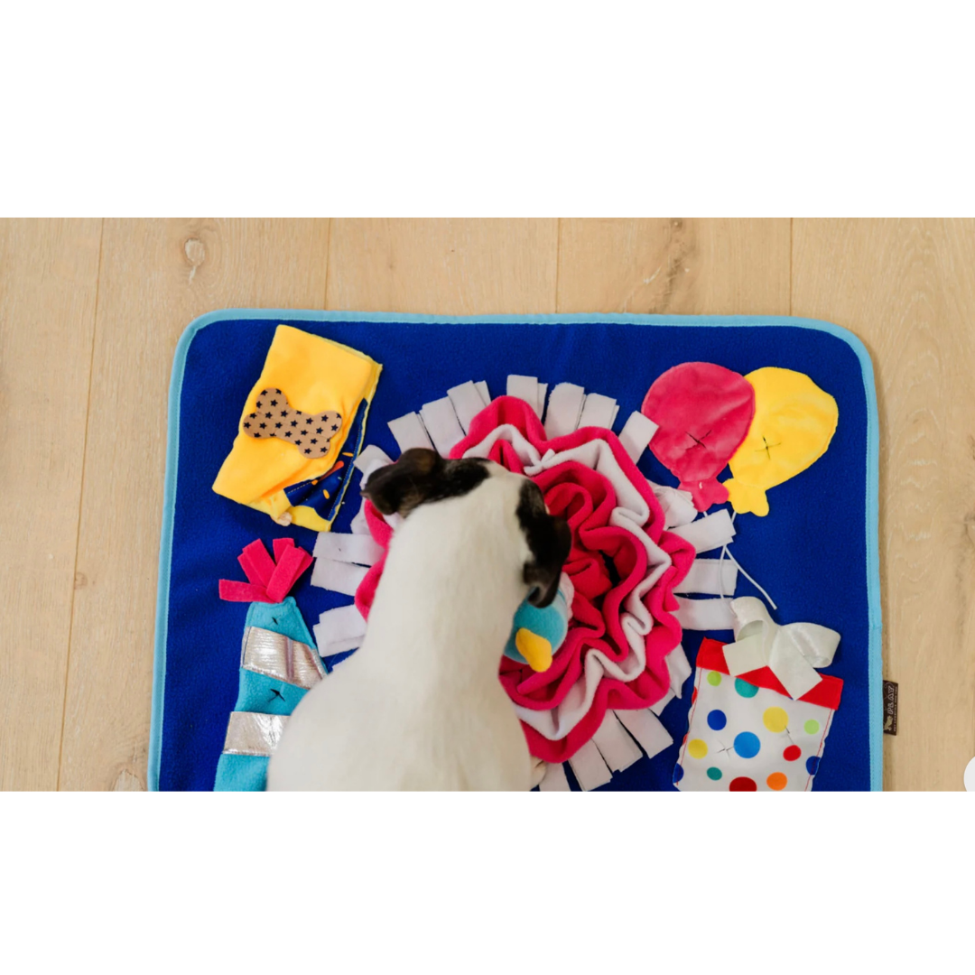 PLAY Woof-day Celebration Snuffle Mat