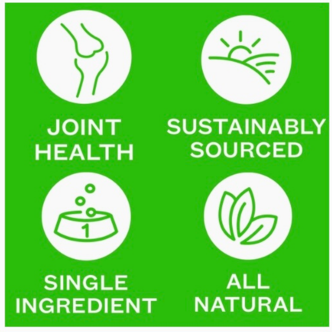 Good Pet Kitchen Air Dried Green Mussel Treats | Natural Joint & Mobility Support