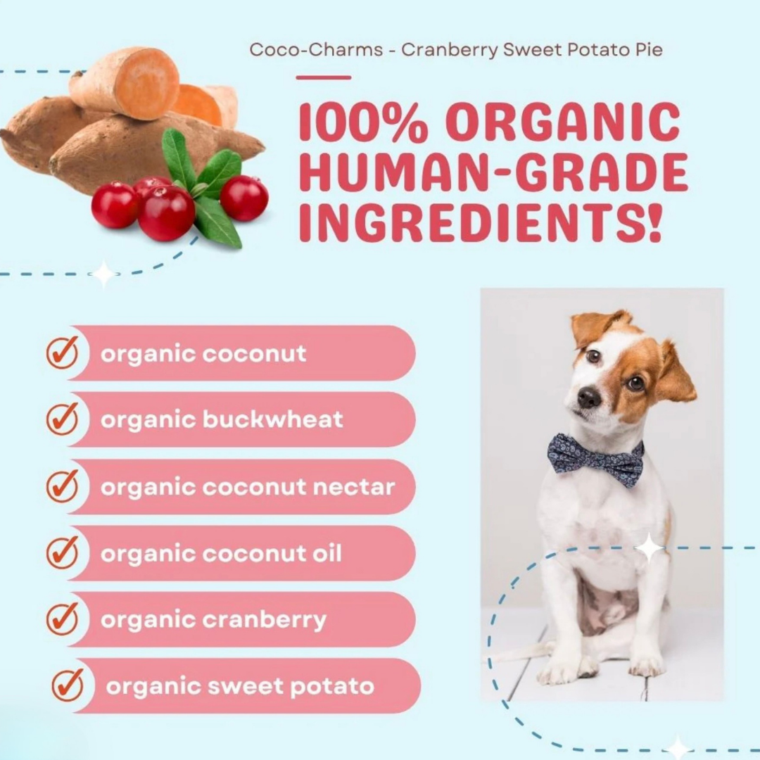 CocoTherapy Organic Coco-Charms | Cranberry Sweet Potato Pie