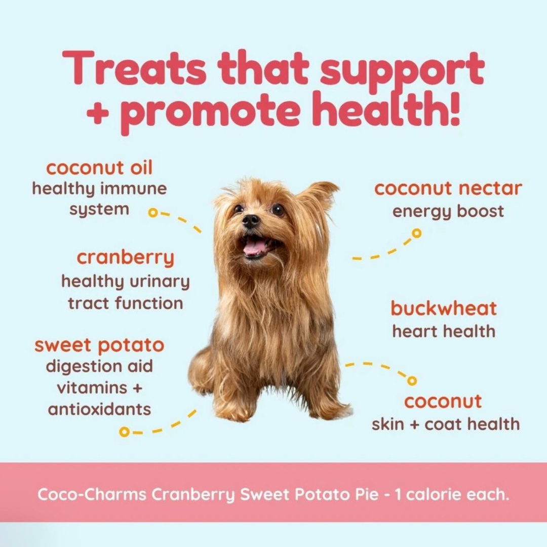 CocoTherapy Organic Coco-Charms | Cranberry Sweet Potato Pie
