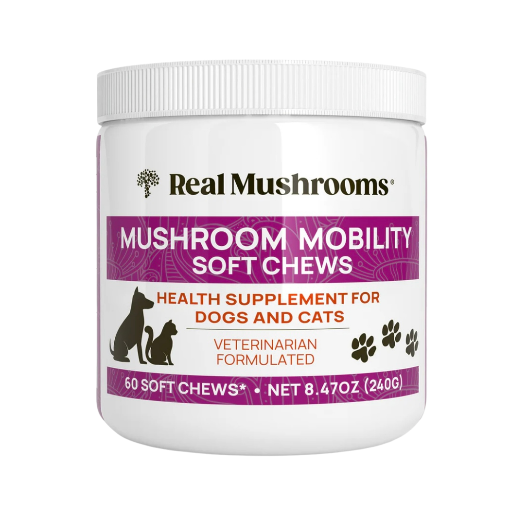 Real Mushrooms Mobility Chews