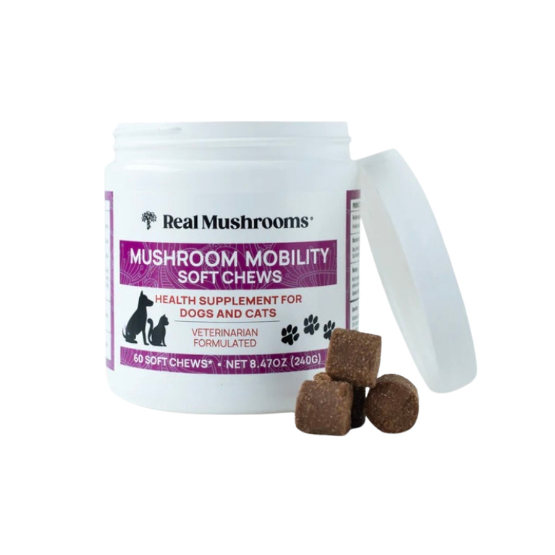 Real Mushrooms Mobility Chews