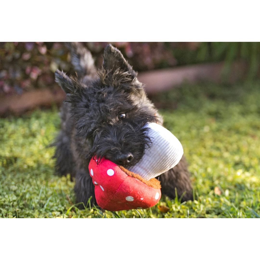 PLAY Mutt’s Mushroom