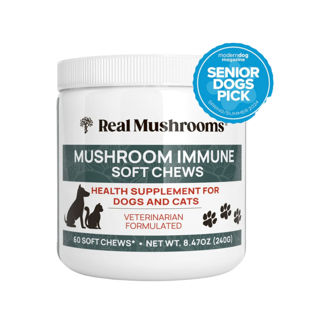 Real Mushrooms Immune Chews