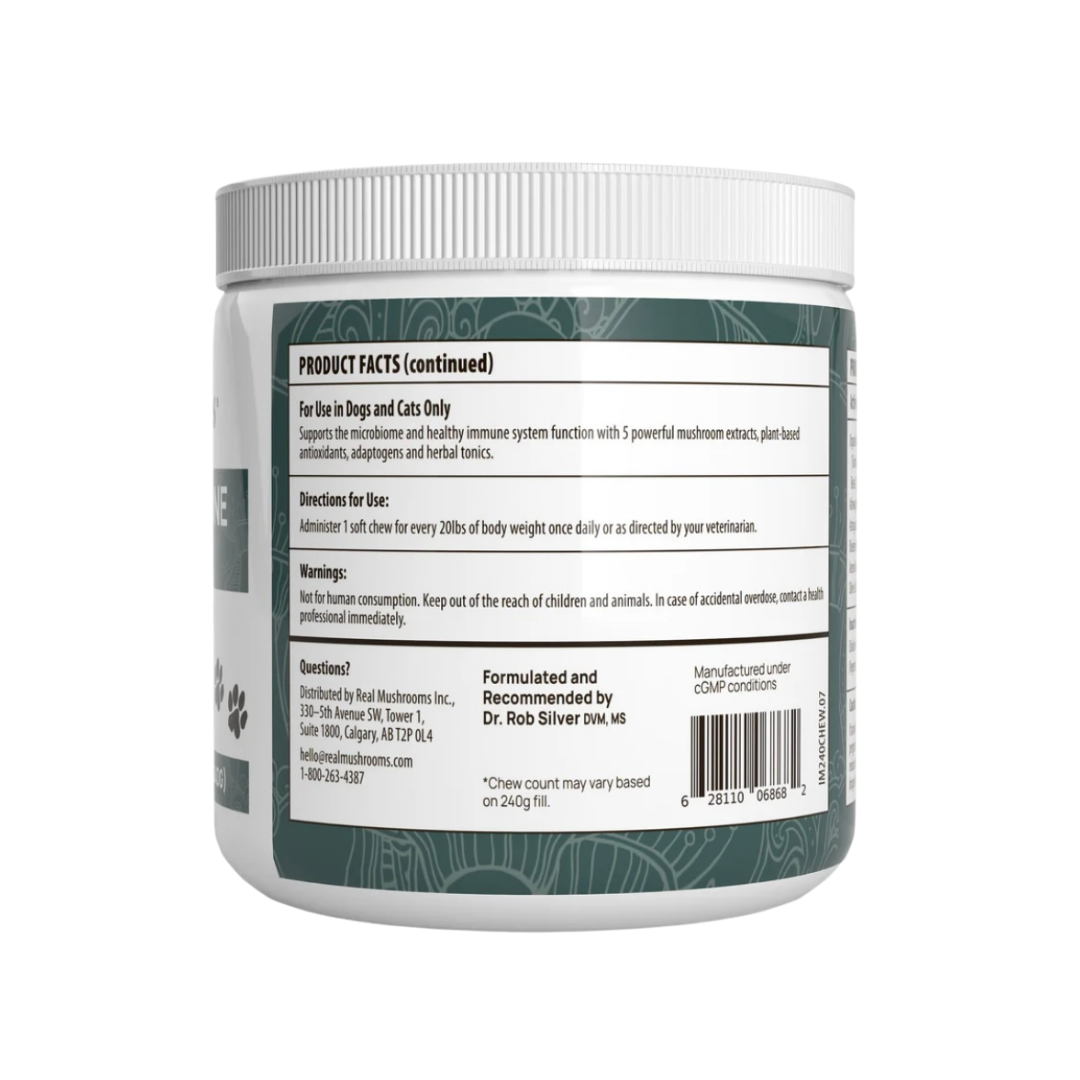 Real Mushrooms Immune Chews