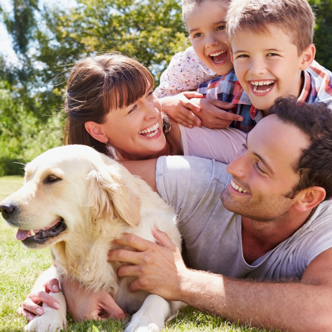 3 Moms Organics Tickwise | Natural Tick & Insect Repellent for Dogs