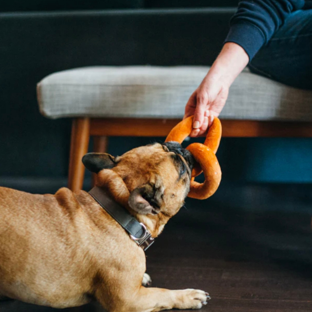 PLAY Poochie Pretzel