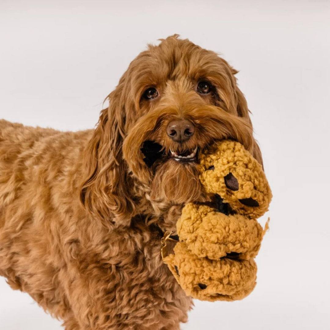 PLAY Cookies n' Treats