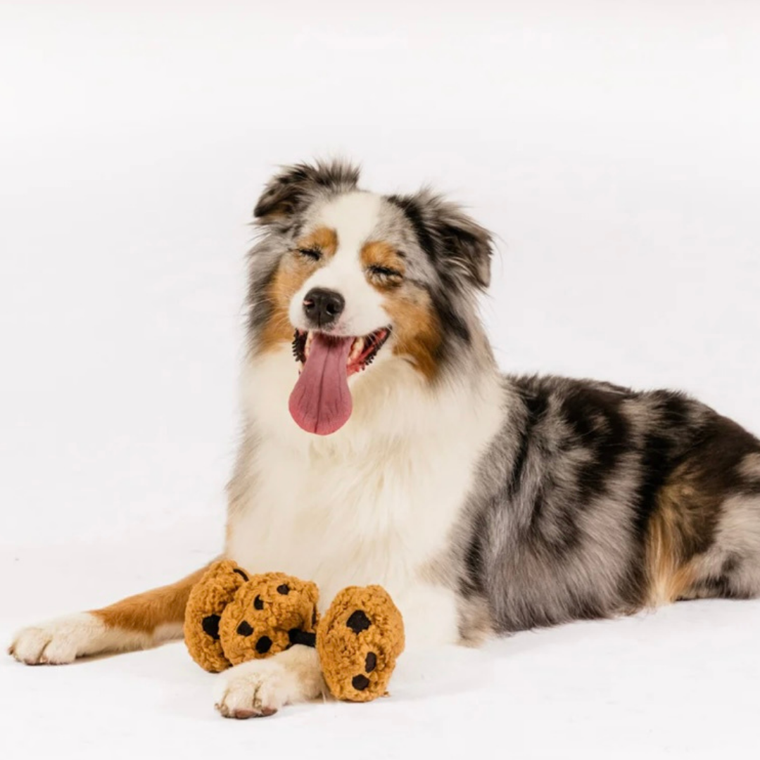 PLAY Cookies n' Treats