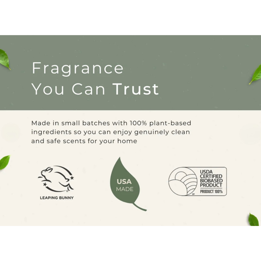 Grow Natural Car Fresheners | Coconut Pineapple