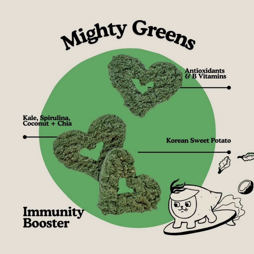 Gogoma Treats Spirulina + Coconut | Immunity Booster