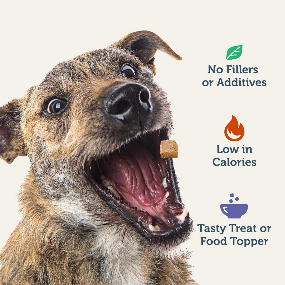 Four Leaf Rover Beef Heart Treats