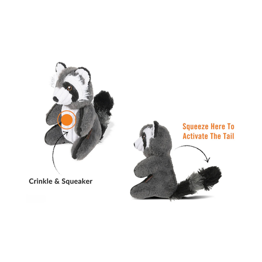 Robby the Raccoon Plush Toy