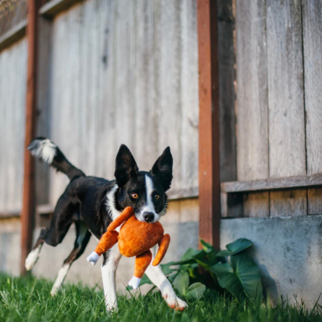 PLAY Holiday Hound Turkey