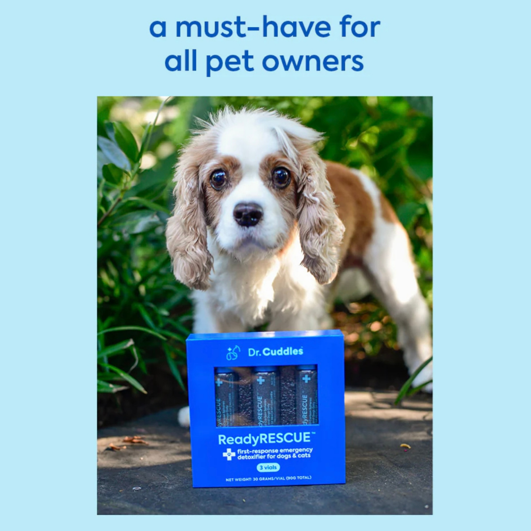 Dr. Cuddles ReadyRESCUE Single | Emergency Detox Aid for Dogs Under 30 lbs