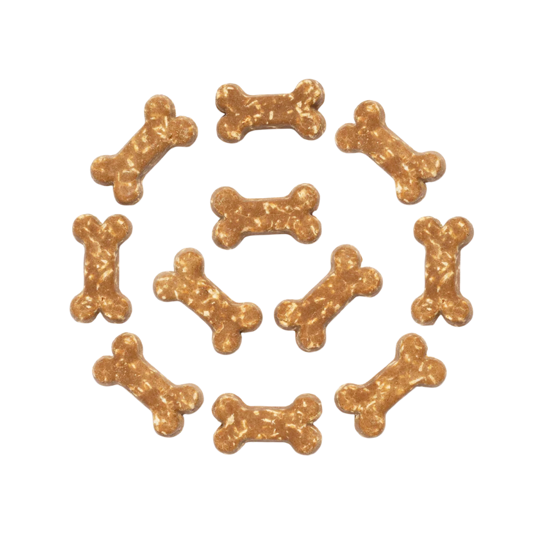 CocoTherapy Organic Coco-Milk Bones | Ginger Snaps