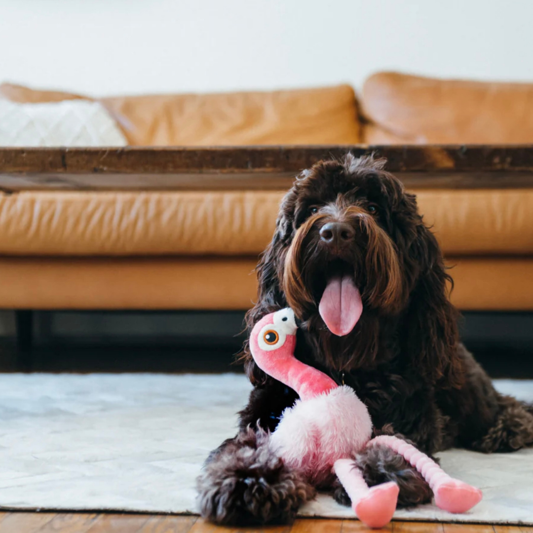 PLAY Flora the Flamingo