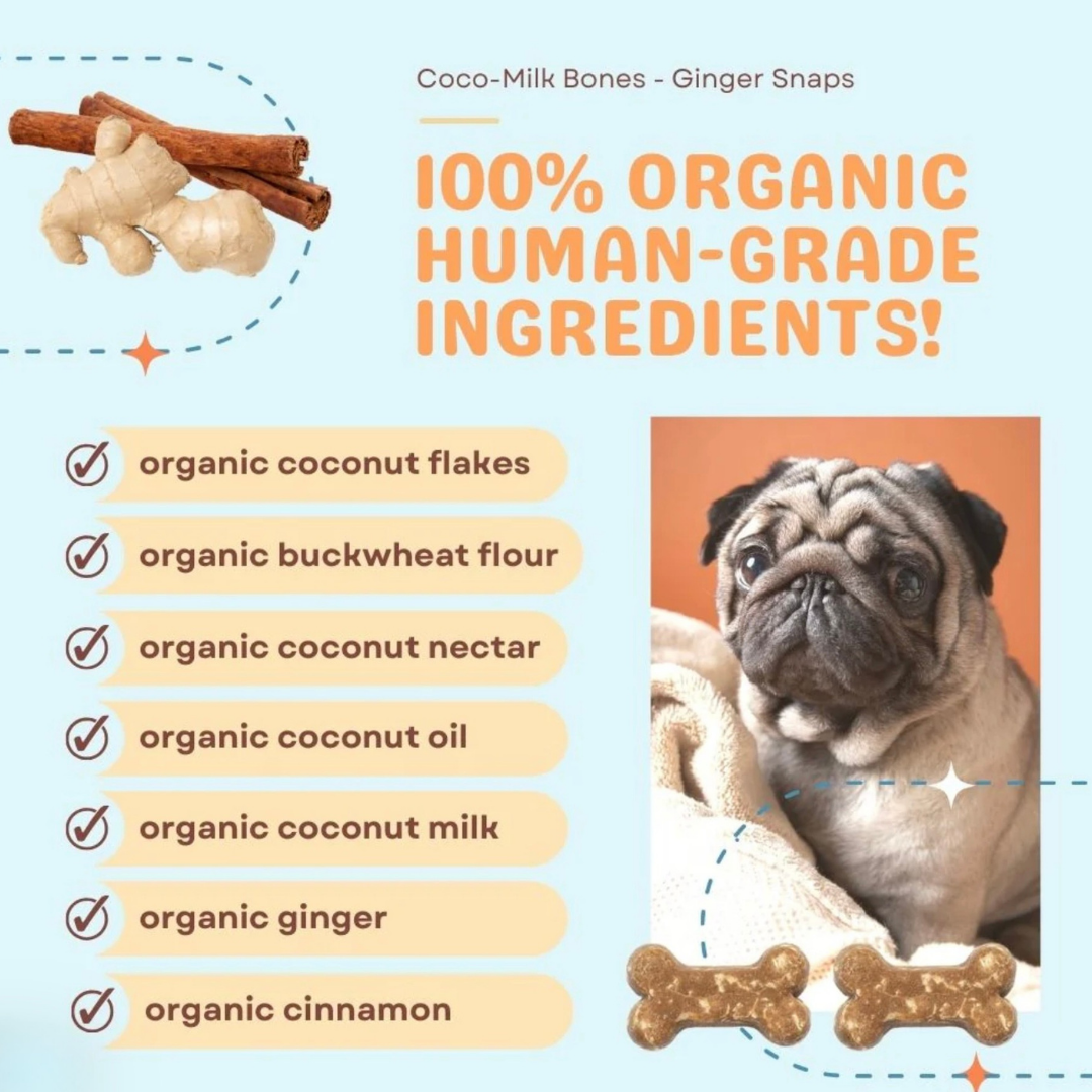 CocoTherapy Organic Coco-Milk Bones | Ginger Snaps