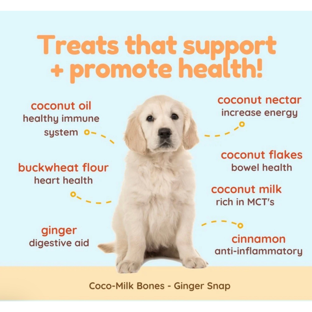 CocoTherapy Organic Coco-Milk Bones | Ginger Snaps