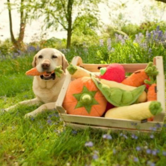 Garden Fresh Carrot Plush Toy