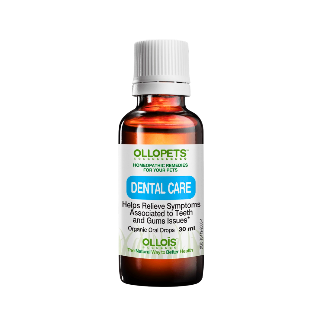 Ollopets Dental Care | Homeopathic Oral Health + Teeth Support