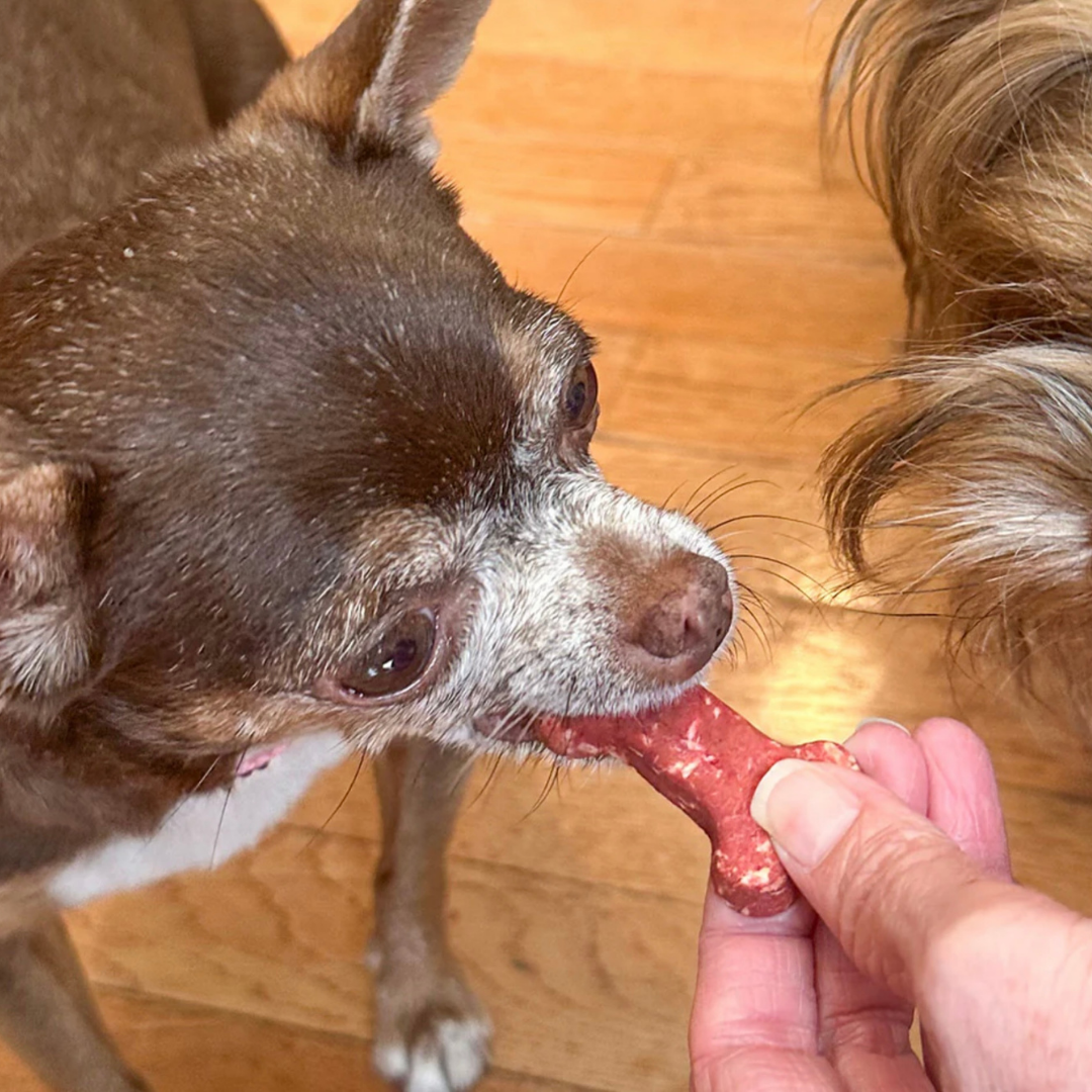 CocoTherapy Organic Coco-Milk Bones | Red Velvet