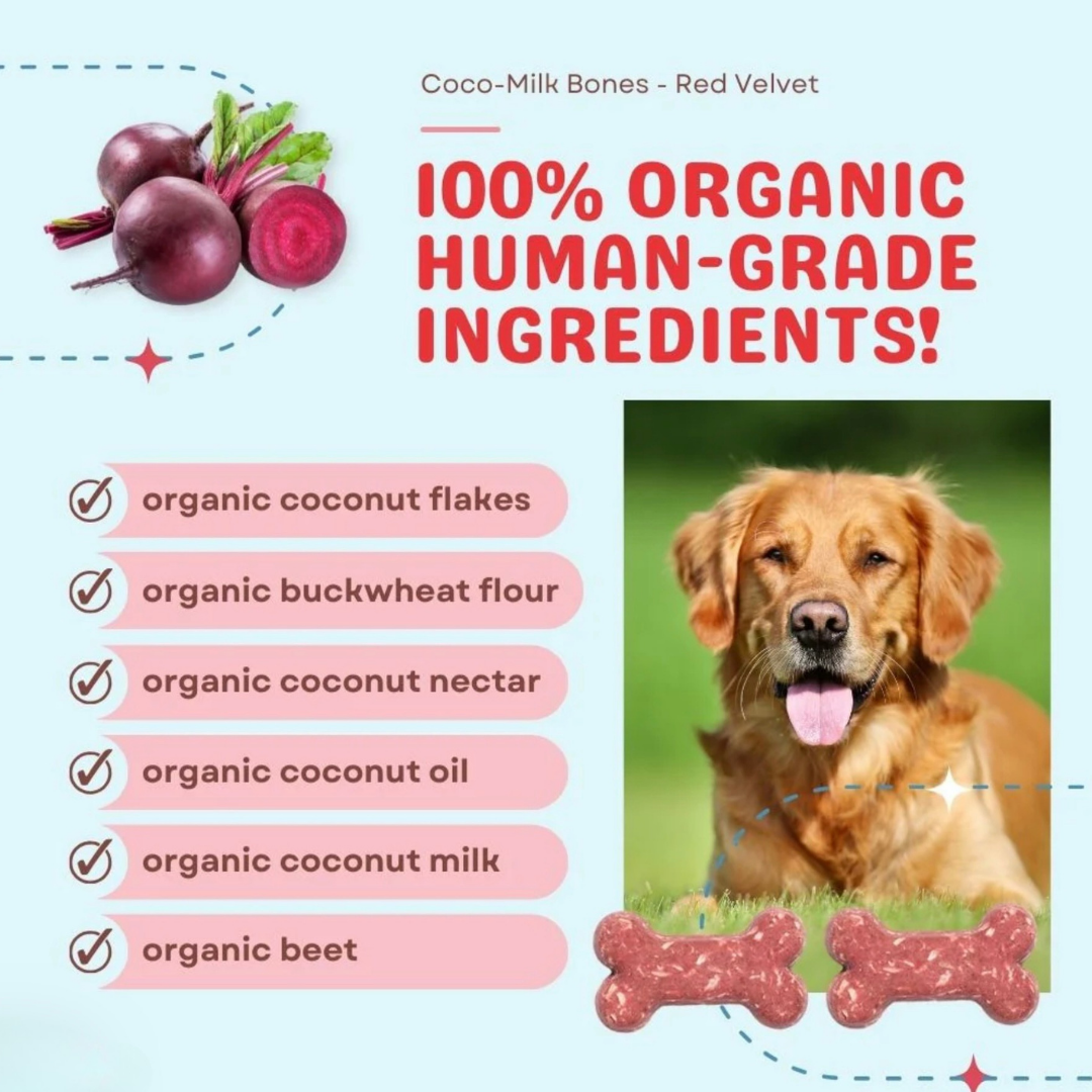 CocoTherapy Organic Coco-Milk Bones | Red Velvet