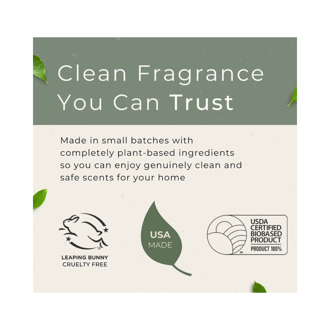 Grow Natural Car Fresheners | Cucumber Aloe