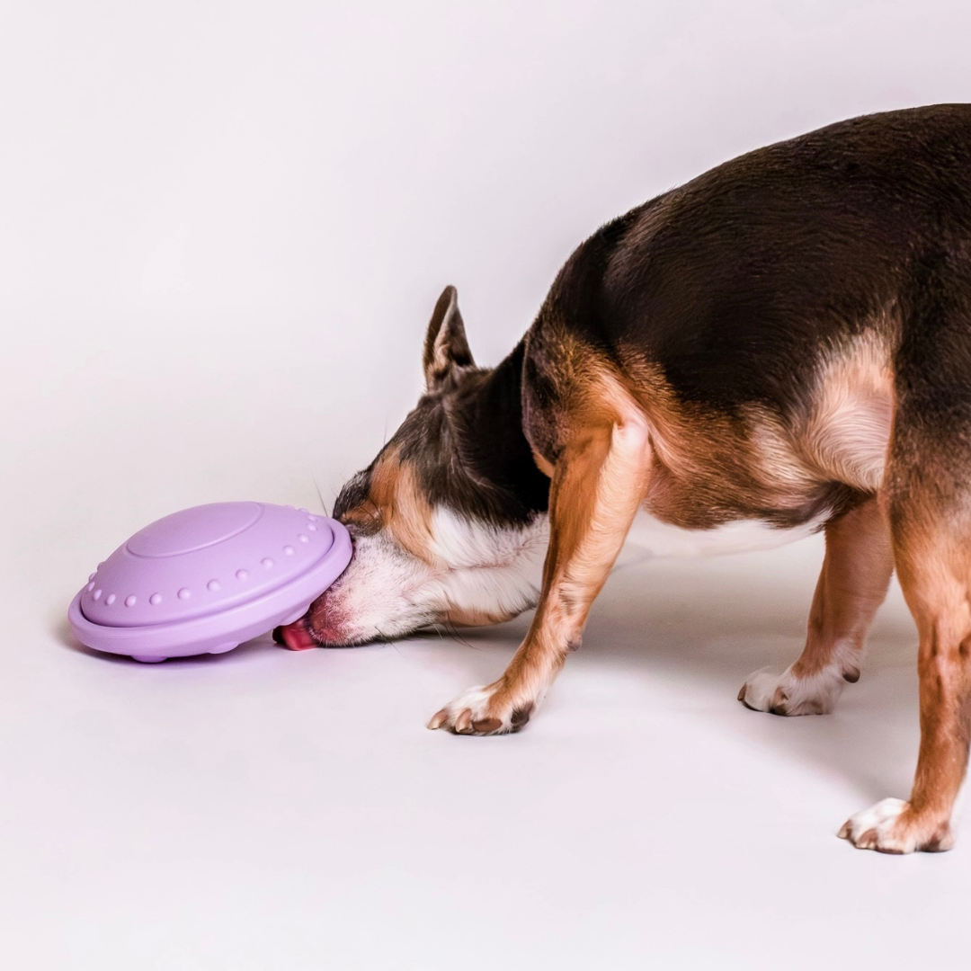 Awoo Flying Saucer | Silicone Puzzle + Slow Feeder + Lick Mat