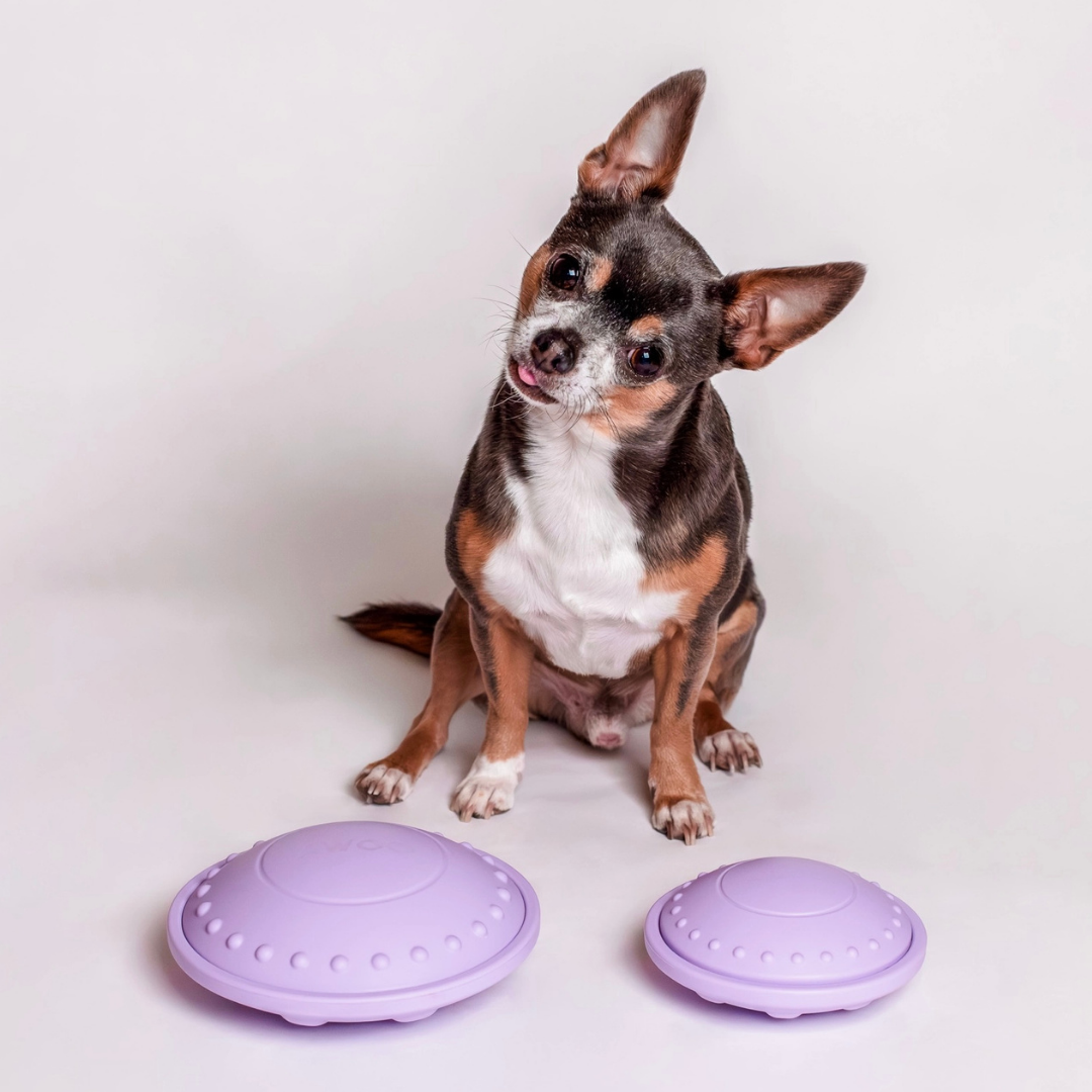 Awoo Flying Saucer | Silicone Puzzle + Slow Feeder + Lick Mat