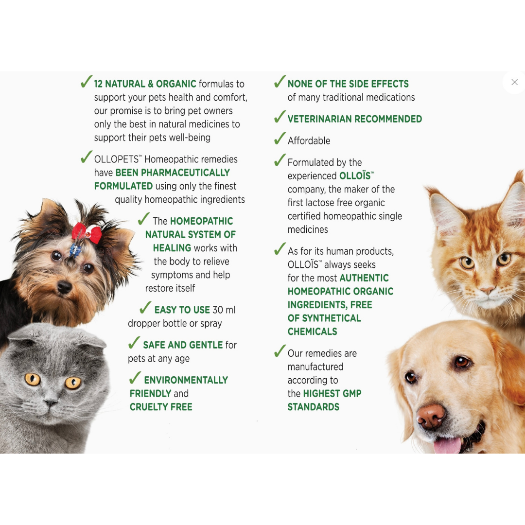 Ollopets Dental Care | Homeopathic Oral Health + Teeth Support