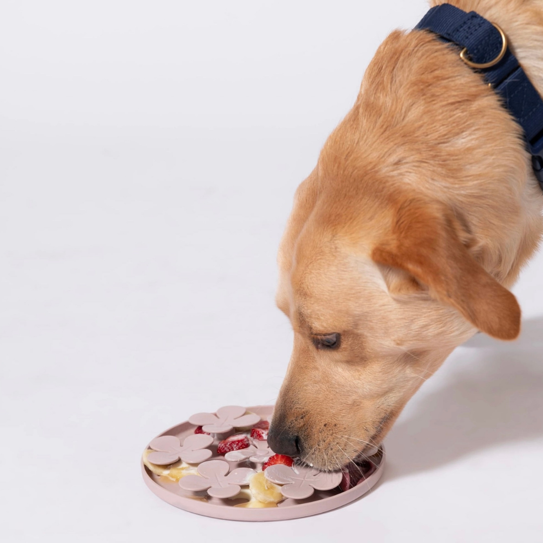 Awoo Meadow | Silicone Slow Feeder + Calming Enrichment Toy
