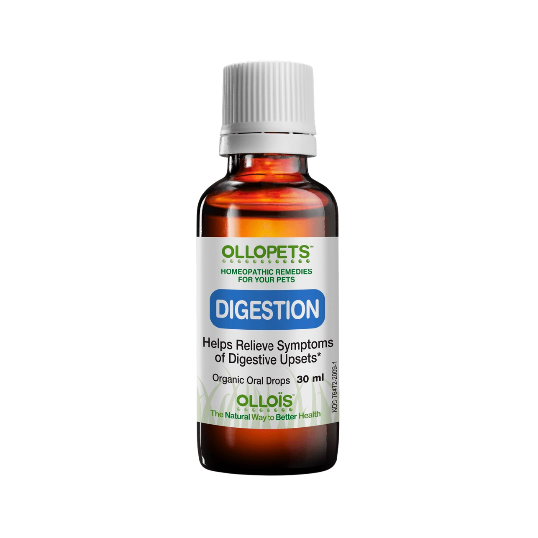 Ollopets Digestion | Homeopathic Gut Health Support