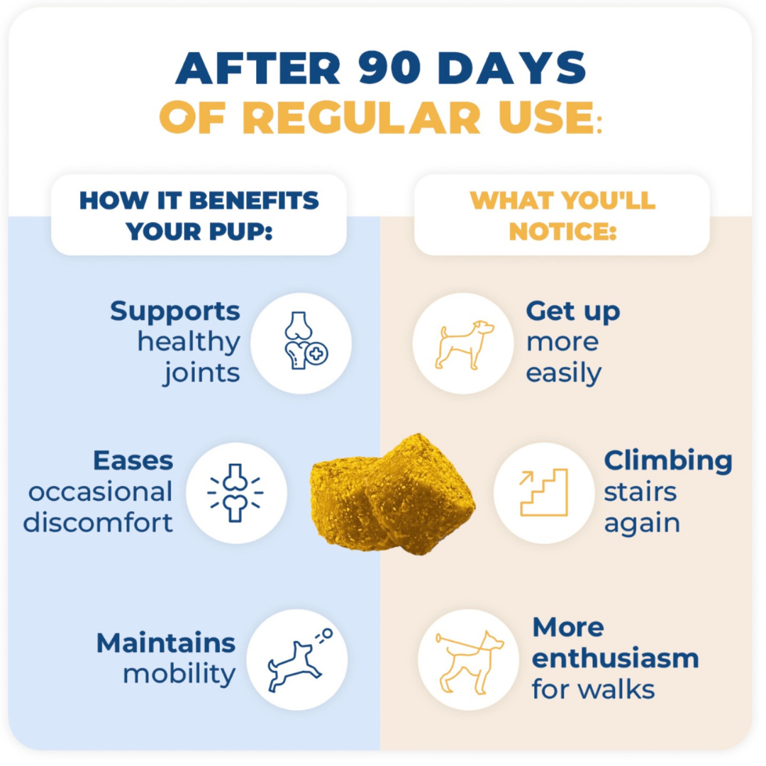 Jope Hip + Joint Supplement | Powerful Joint Relief + UC-II