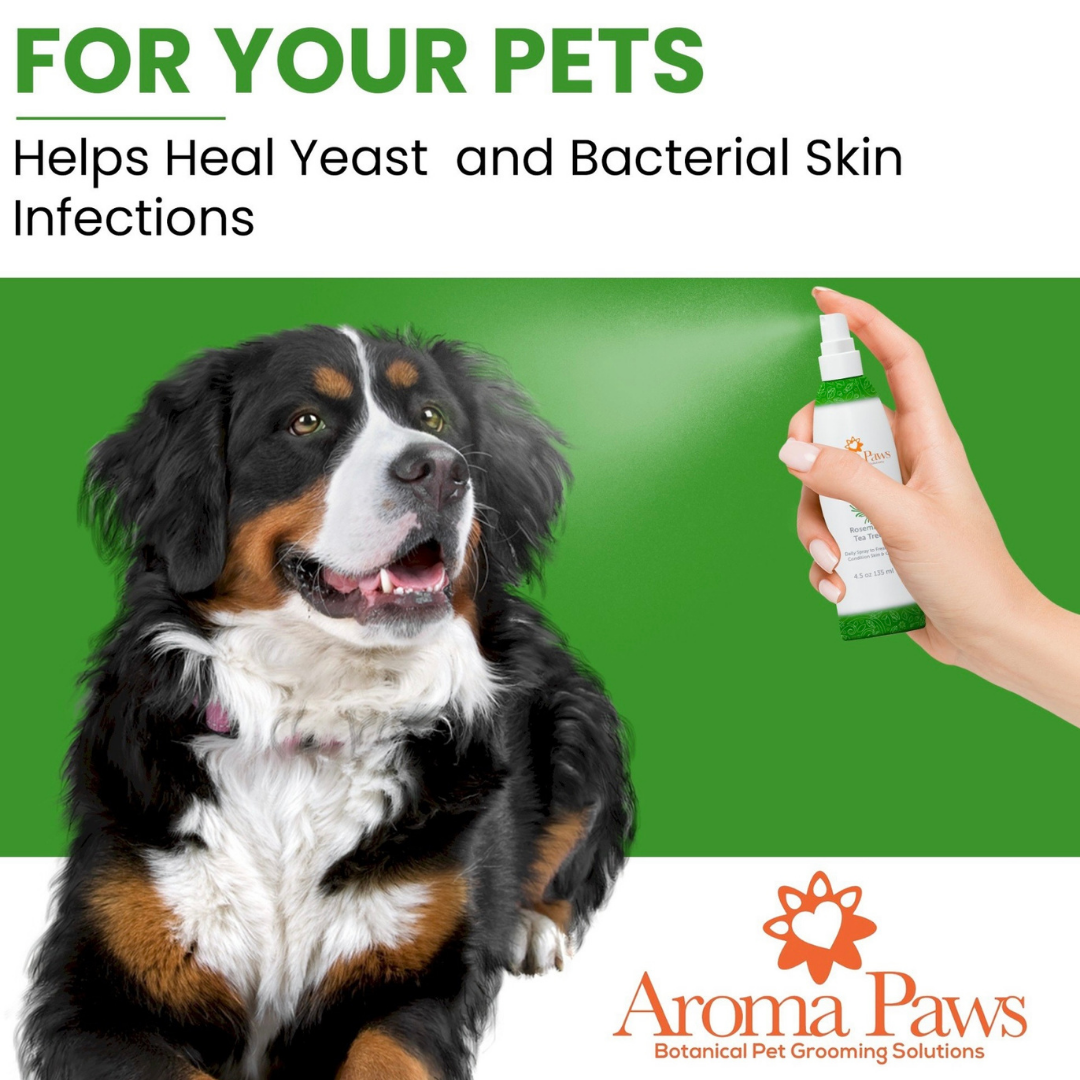 Aroma Paws Dog Coat Spray | Rosemary Tea Tree