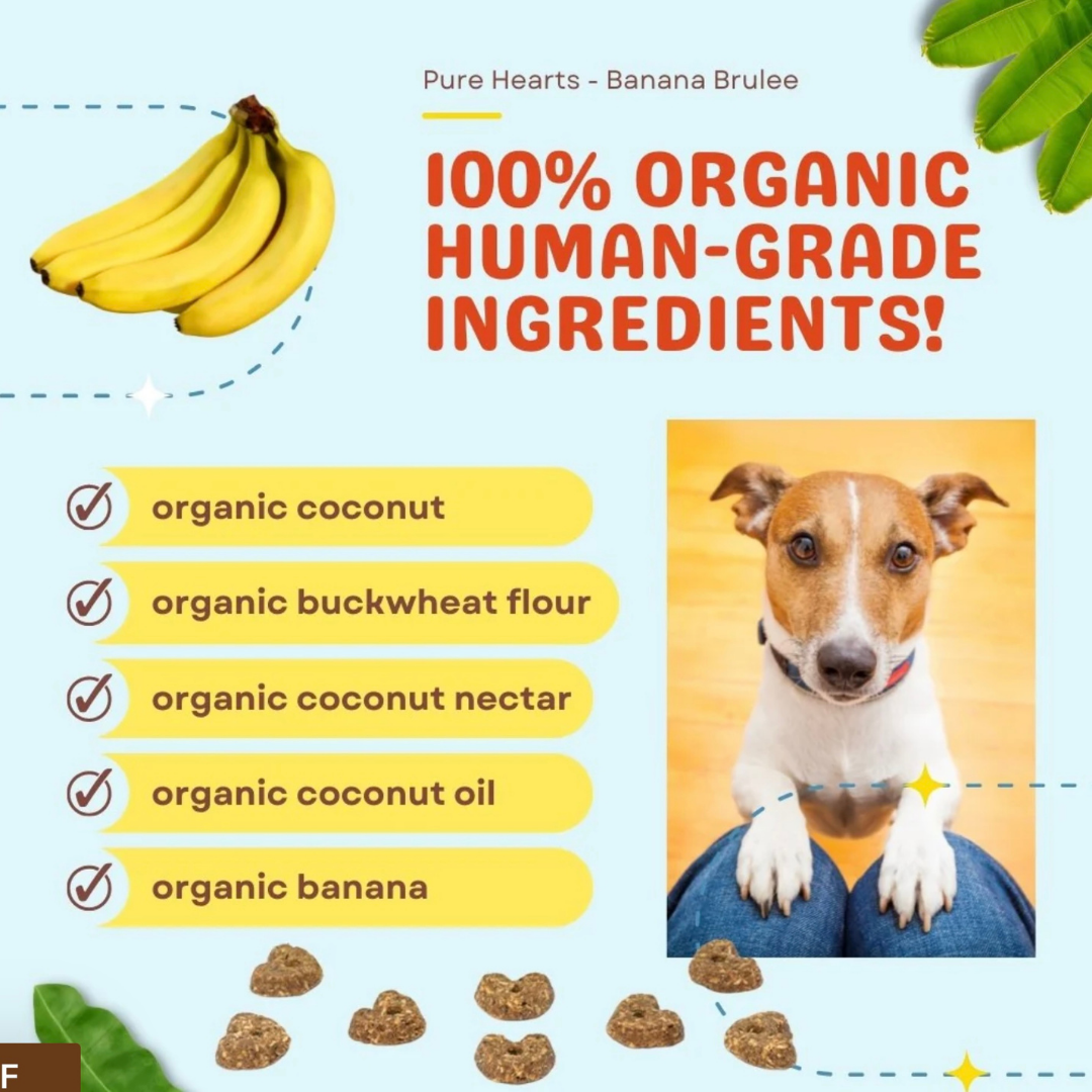 Cocotherapy Organic Coconut Cookies | Banana Brulée