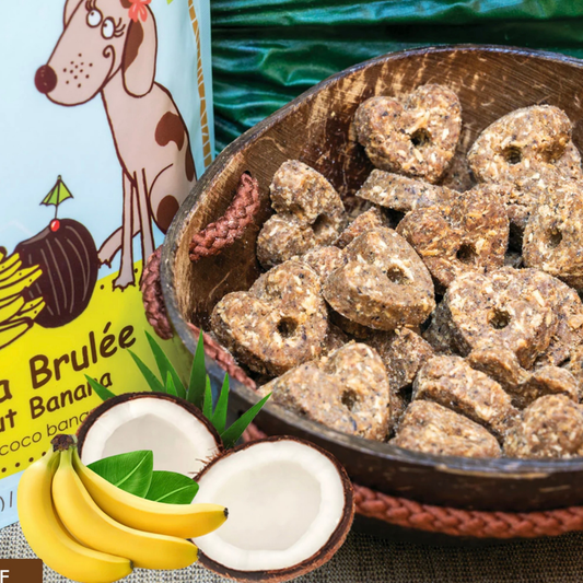 Organic Coconut Cookies | Banana Brulée